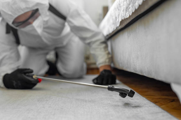 Professional Termite Control technician working in Boiling Springs, NC