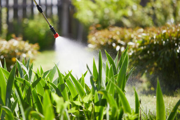 24/7 Emergency Termite Control experts in Boiling Springs, NC
