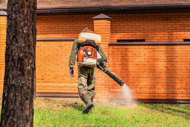 Trusted Mosquito Control service in Boiling Springs, NC - Nex Pest Control